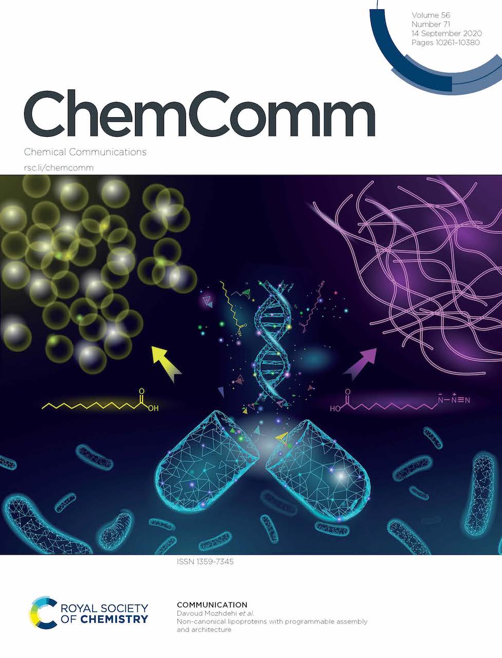 Journal Covers - Nangia Research Group – Syracuse University