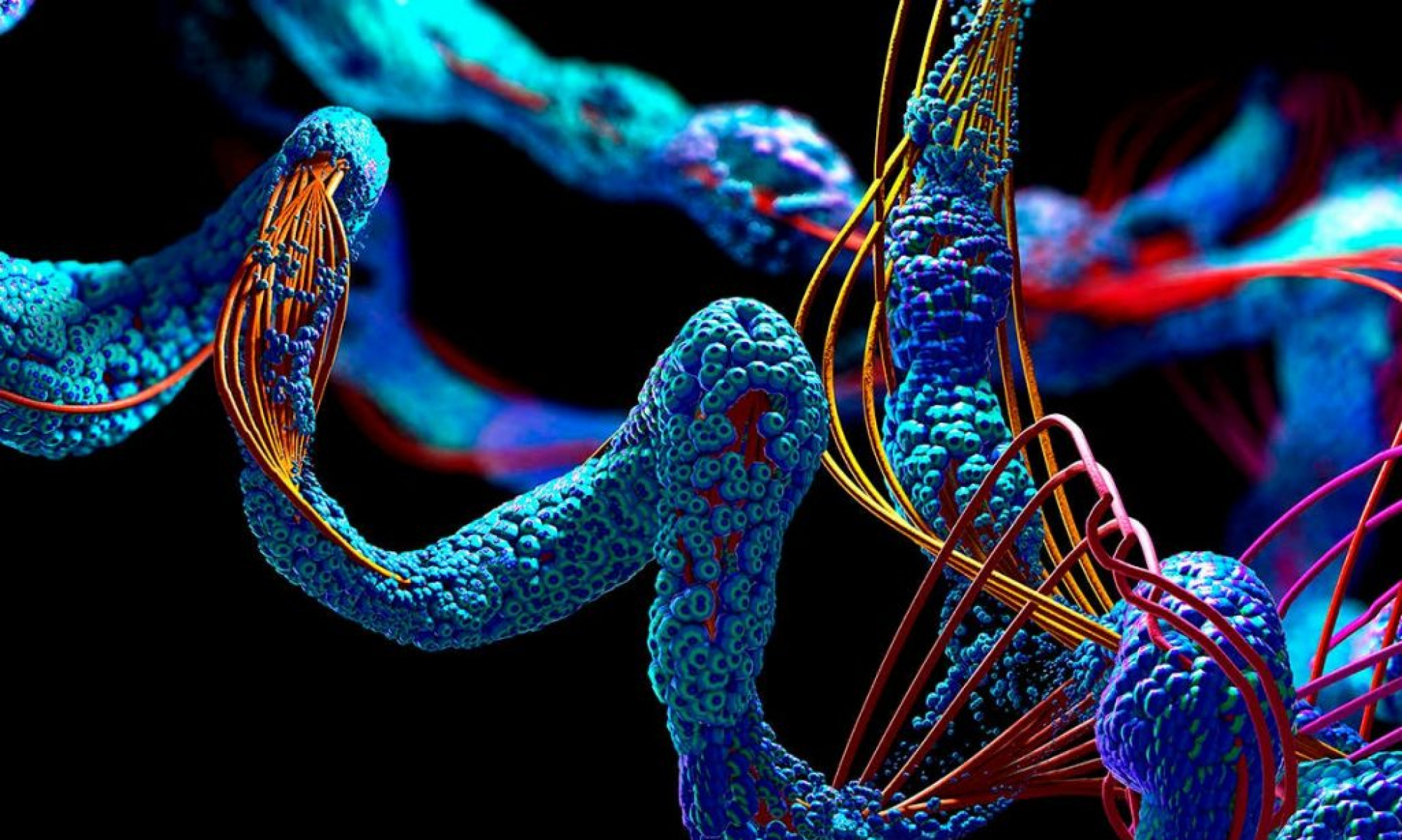 Disordered Proteins